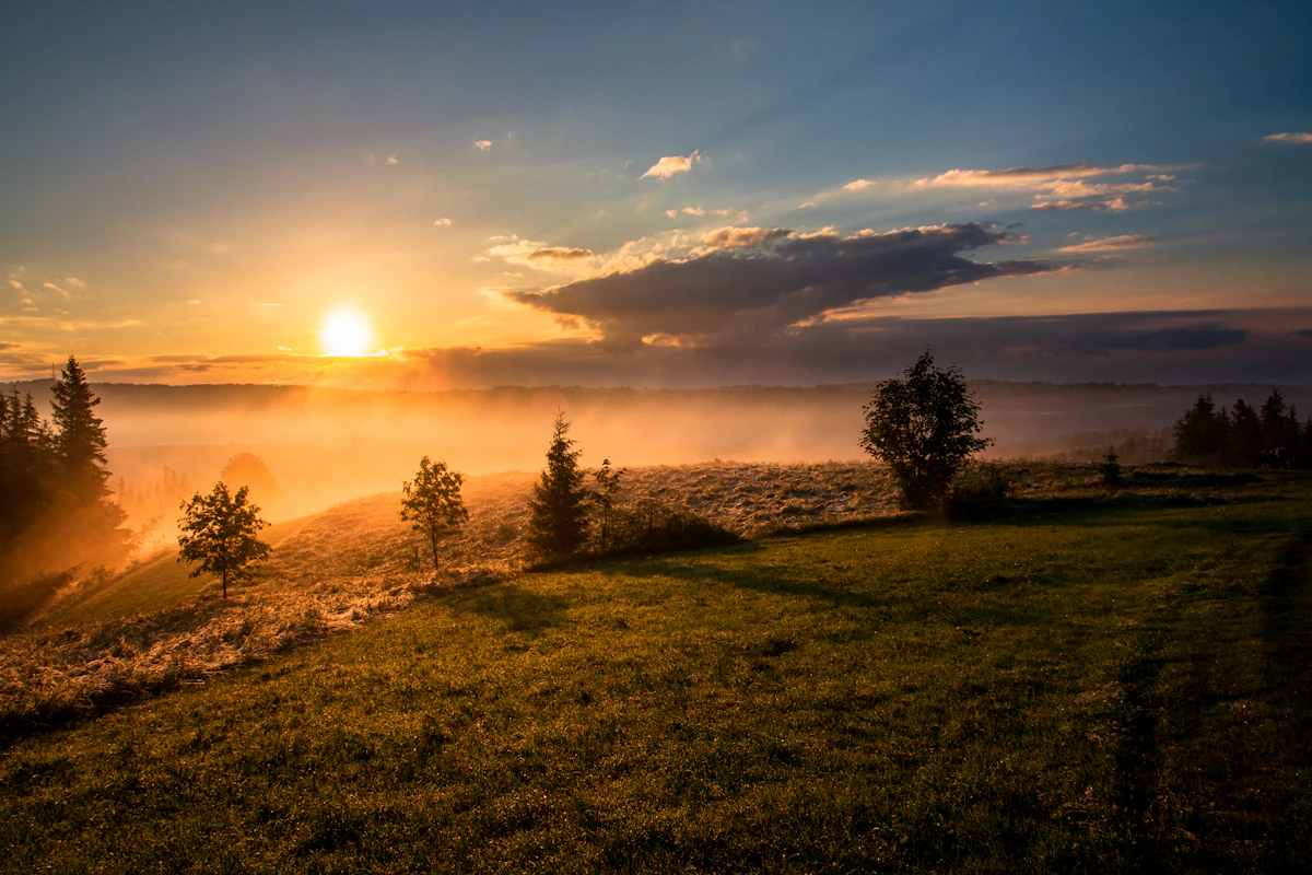 15 Morning Routine Habits That Will Transform Your Day